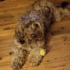 Meet your Posher, Barbara